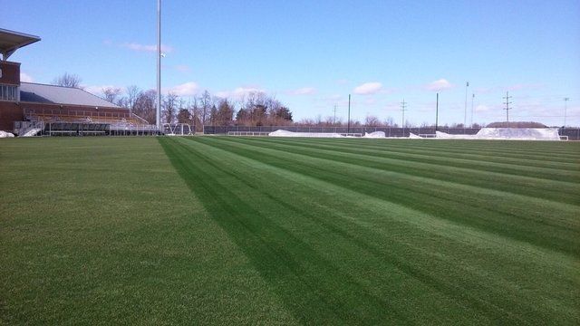 Purdue's soccer field's grass looks healthier after the turf covers opened