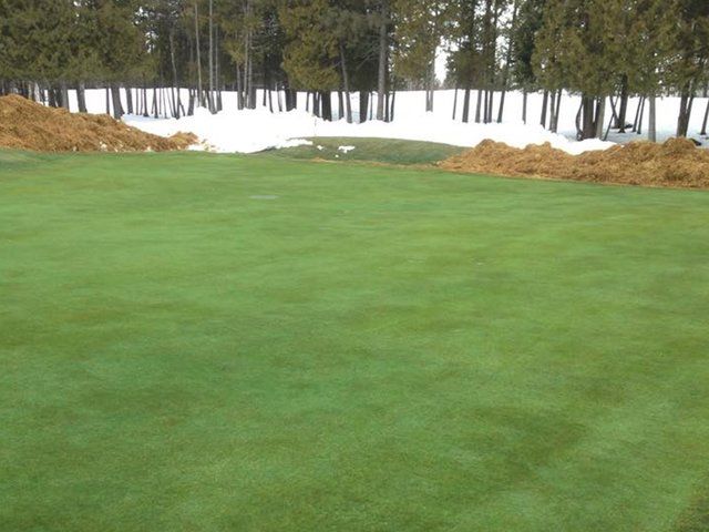 GOLF GREEN COVERS AND TURF COVERS spring result with the covers