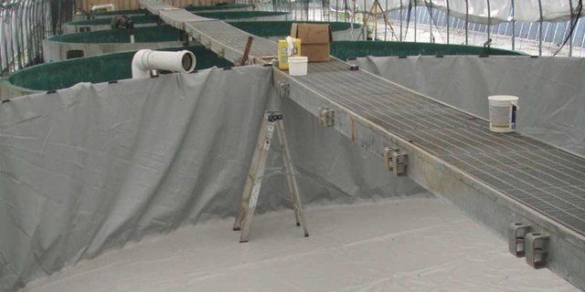 tank liner 30' in diameter with a side wall height of 5' made of our super tough 22 mil pvc