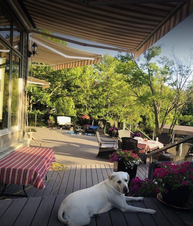 A white dog laying on a deck under an awning