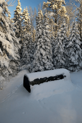 A log is covered in snow in the middle of a snowy forest.