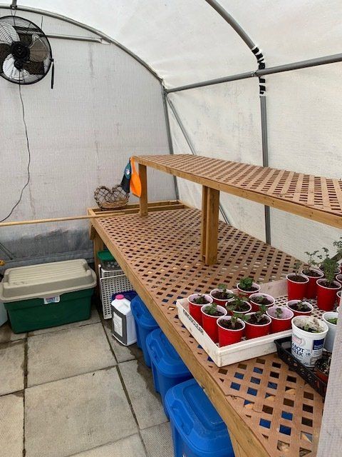 portable shelves can be installed in cover-tech greenhouse shelters