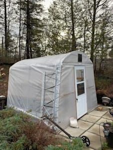 A small greenhouse is sitting on a patio in the woods