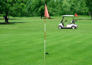 healthy golf course protected by golf green turf cover