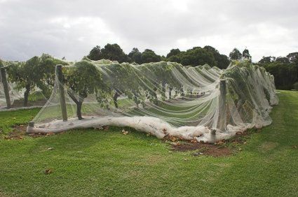 Cover-Tech Inc. Shade Cloth Mesh Tarps and bird mesh. Please Contact to request more info