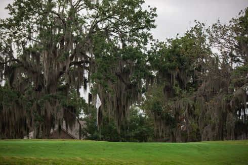 Green lawn in foreground, tall trees with Spanish moss, cloudy sky, golf flag visible.