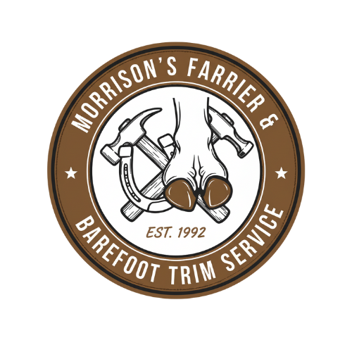 Morrison's Farrier & Barefoot Trim Service logo