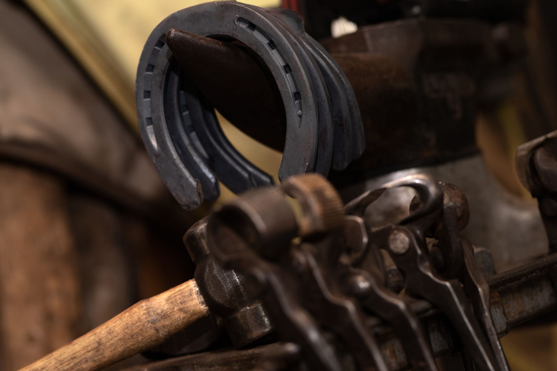 Horseshoe held by tools in a blacksmith's shop, with hammer and anvil visible.