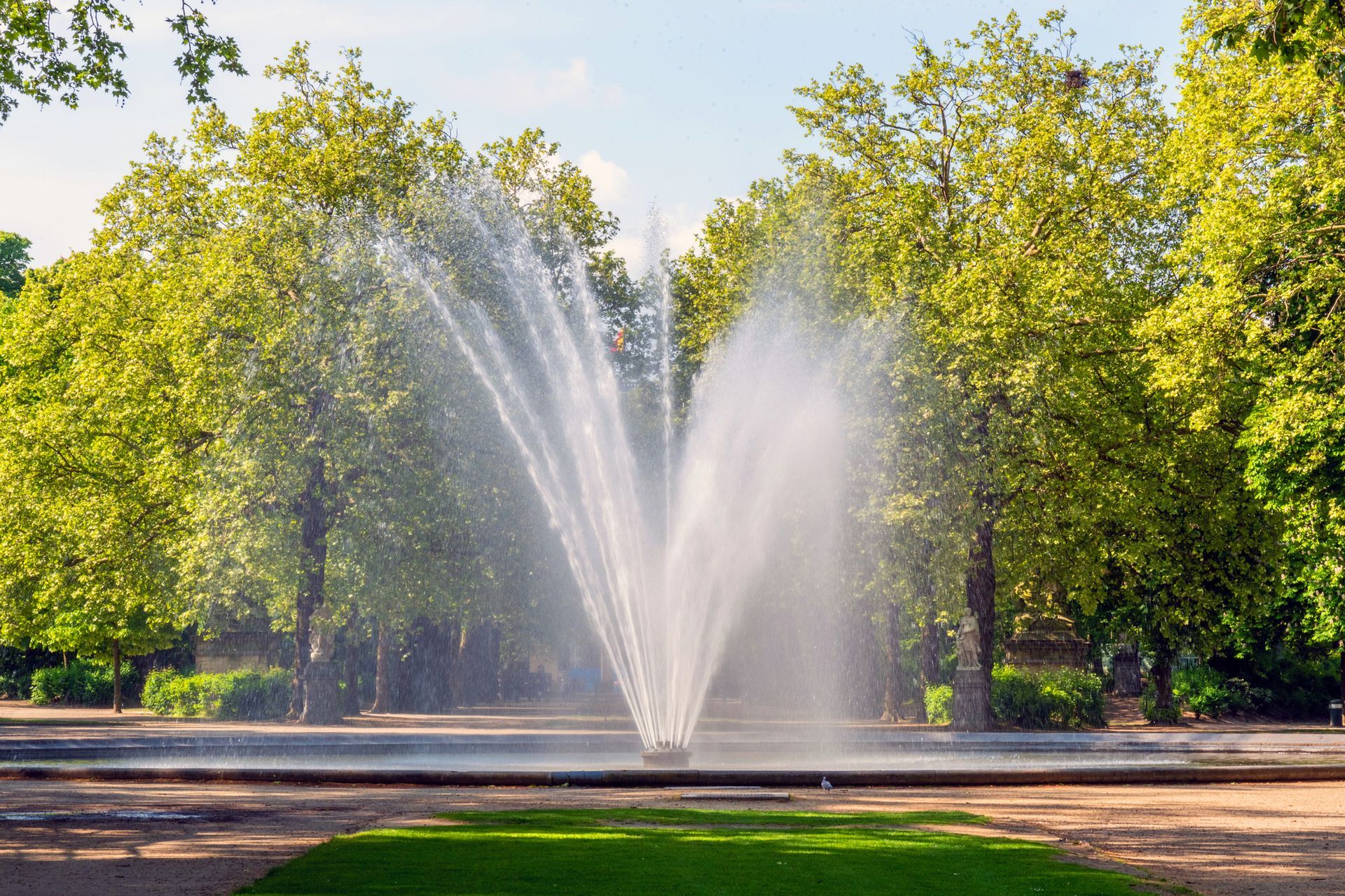 A Fountain Is Spraying Water in A Park Surrounded by Trees.