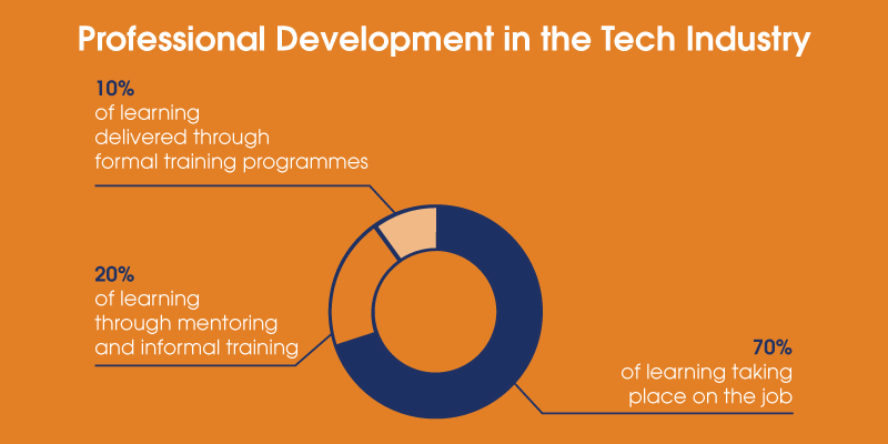 A pie chart showing professional development in the tech industry