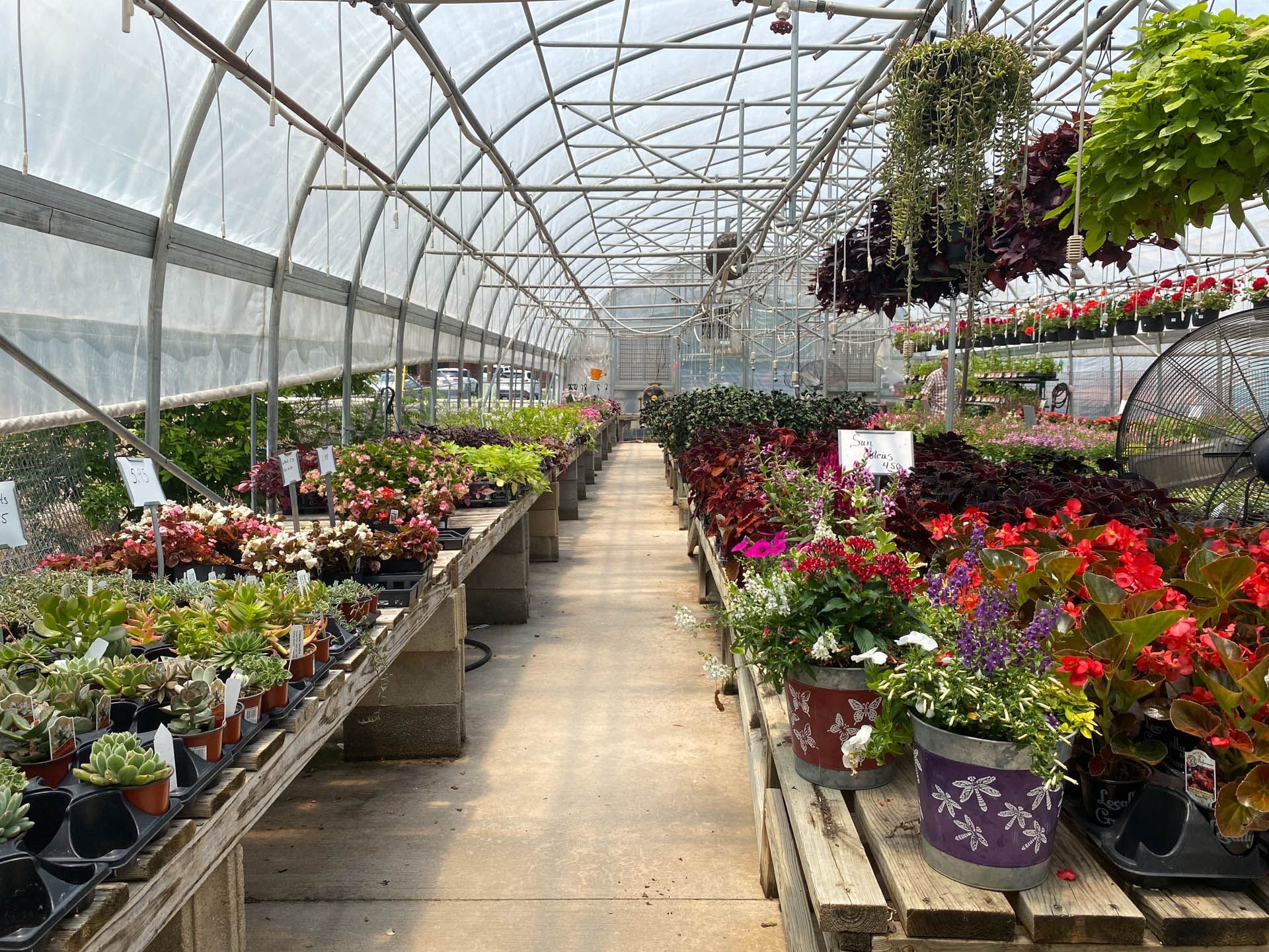 garden greenhouse in hot springs arkansas