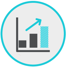 Icon Projektbegleitung