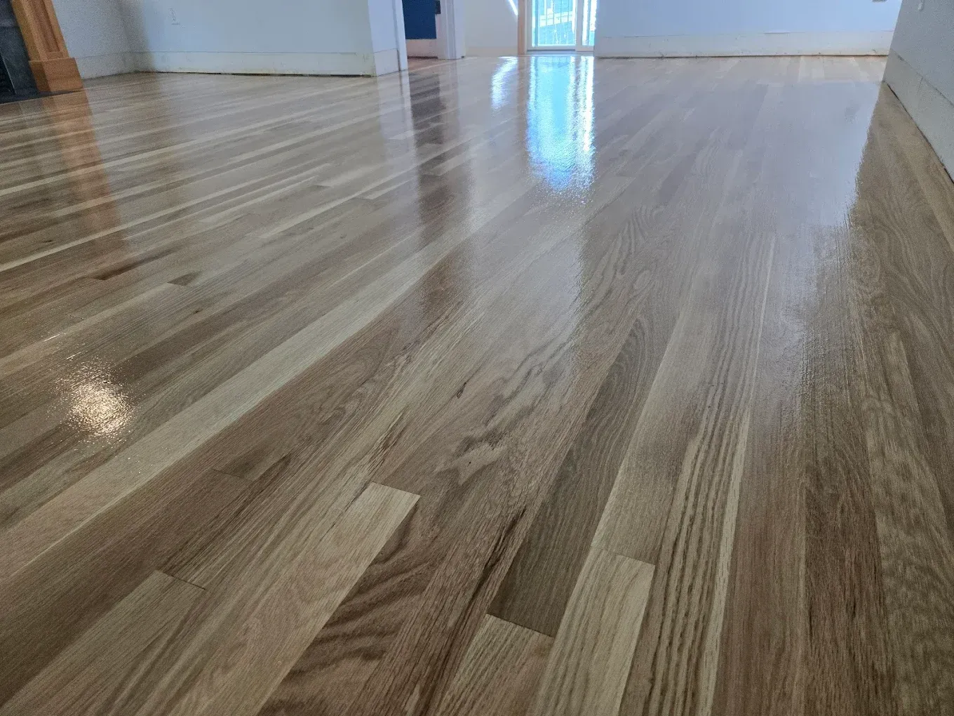 Reflective hardwood floor with a glossy finish, possibly newly polished. The floorboards are light brown.