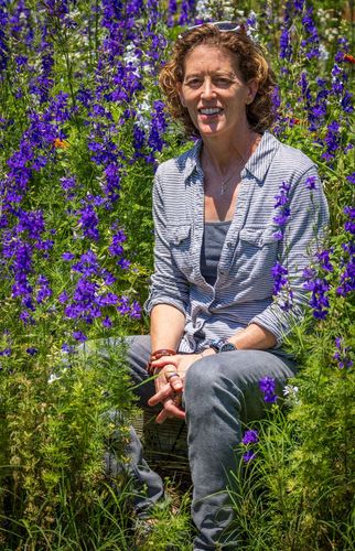 A woman is sitting in a field of purple flowers.