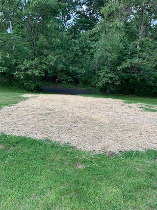 There is a large pile of wood chips in the middle of the grass.