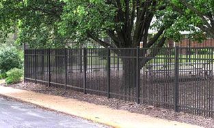 Black metal fence along a road, trees in the background.