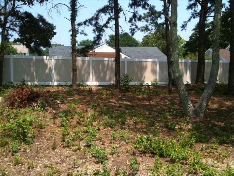 Beige fence with trees in front of it.