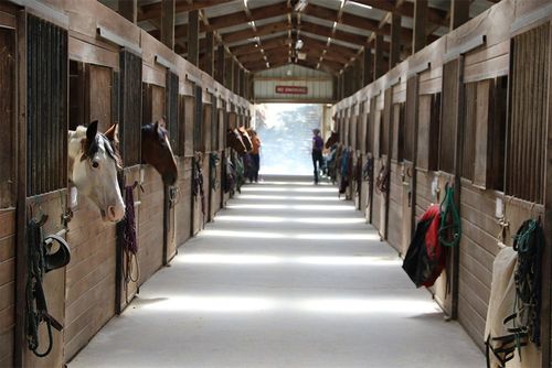 Barn with Horses — Madison, VA — Absolute Improvements