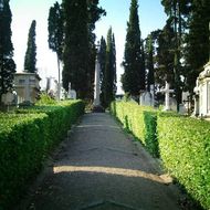 icona composizioni floreali