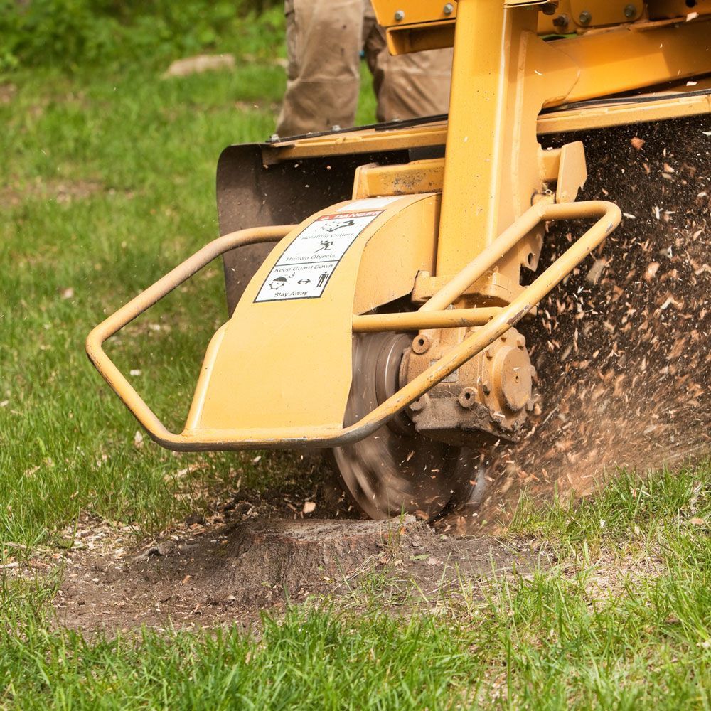 Stump Removal — Eddington, ME — C and S Excavation