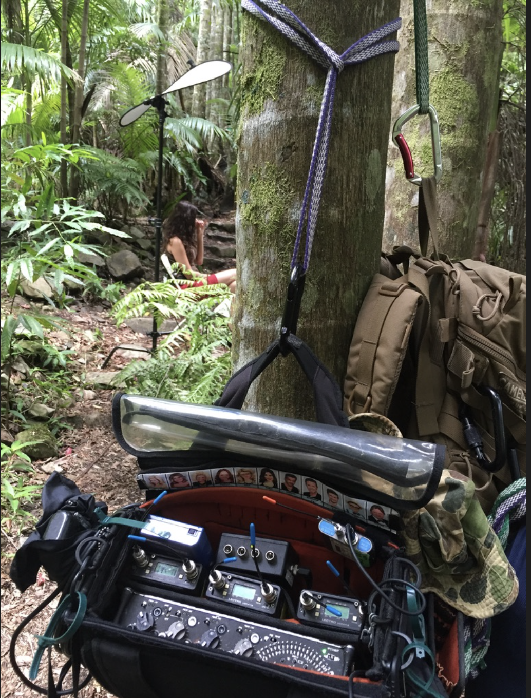A backpack is hanging from a tree in the woods