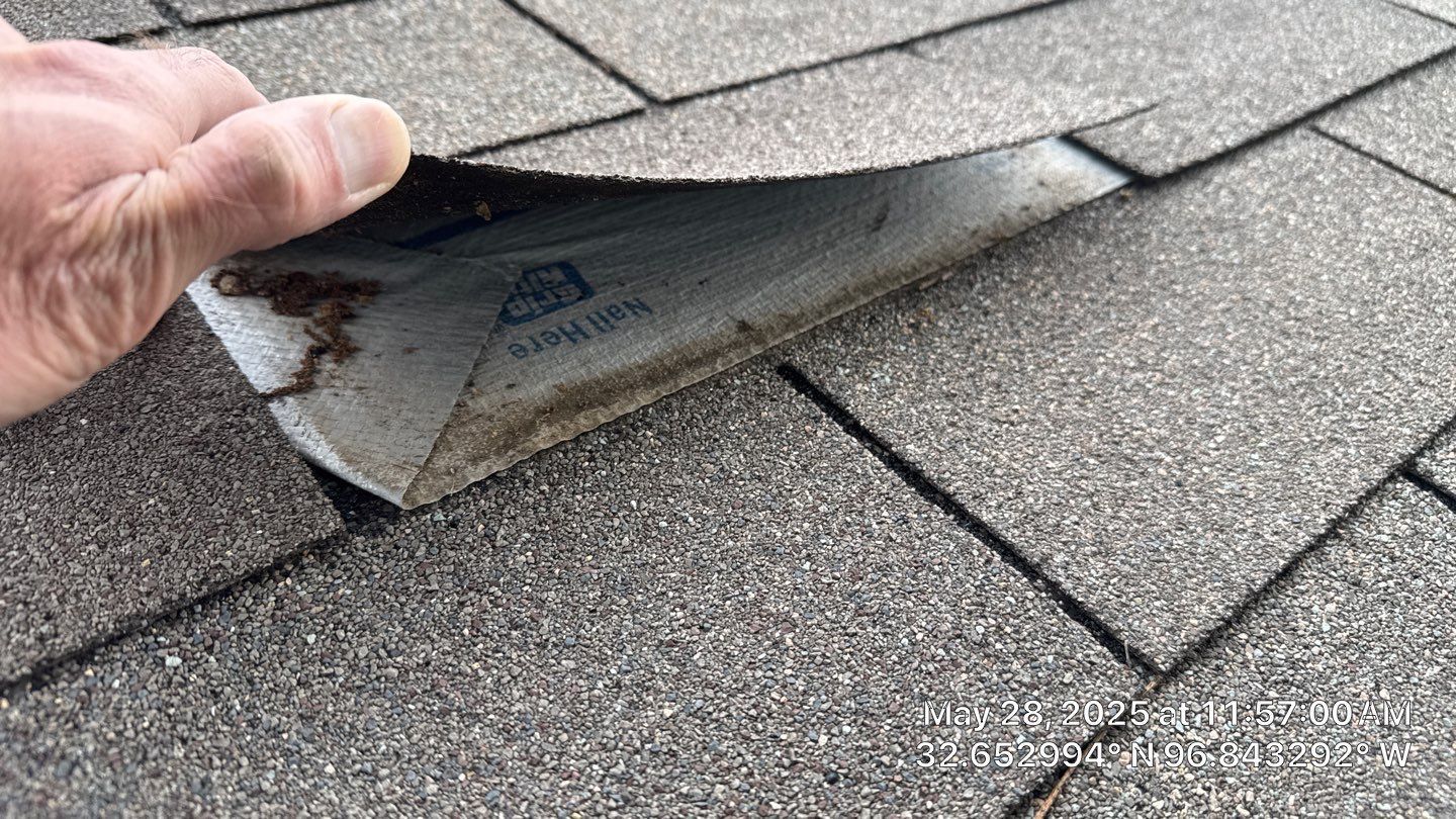 Hand lifting up a damaged asphalt shingle on a roof.
