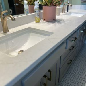 Bathroom vanity with two sinks, gray cabinets, gold hardware, and a potted plant.