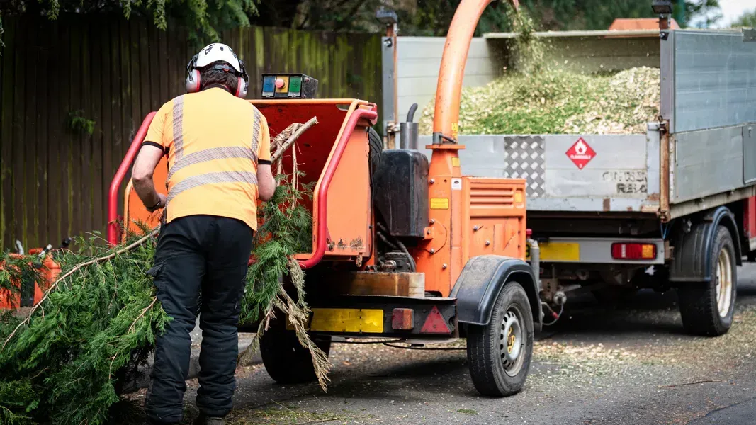Worker feeding branches into a wood chipper, loading a truck with wood chips. Outdoor setting.