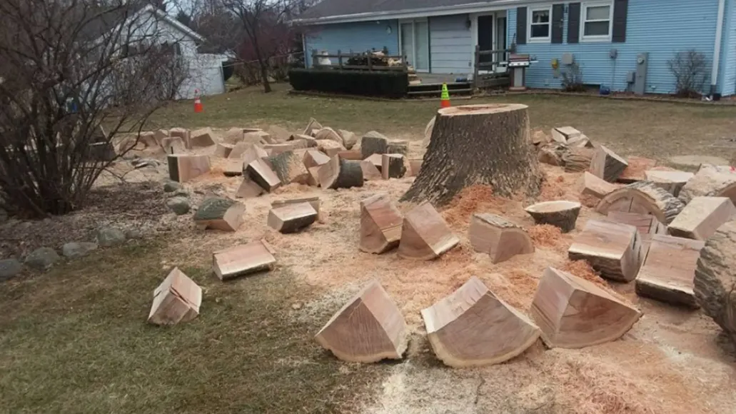 Tree stump surrounded by freshly cut wooden blocks and sawdust in a residential yard.