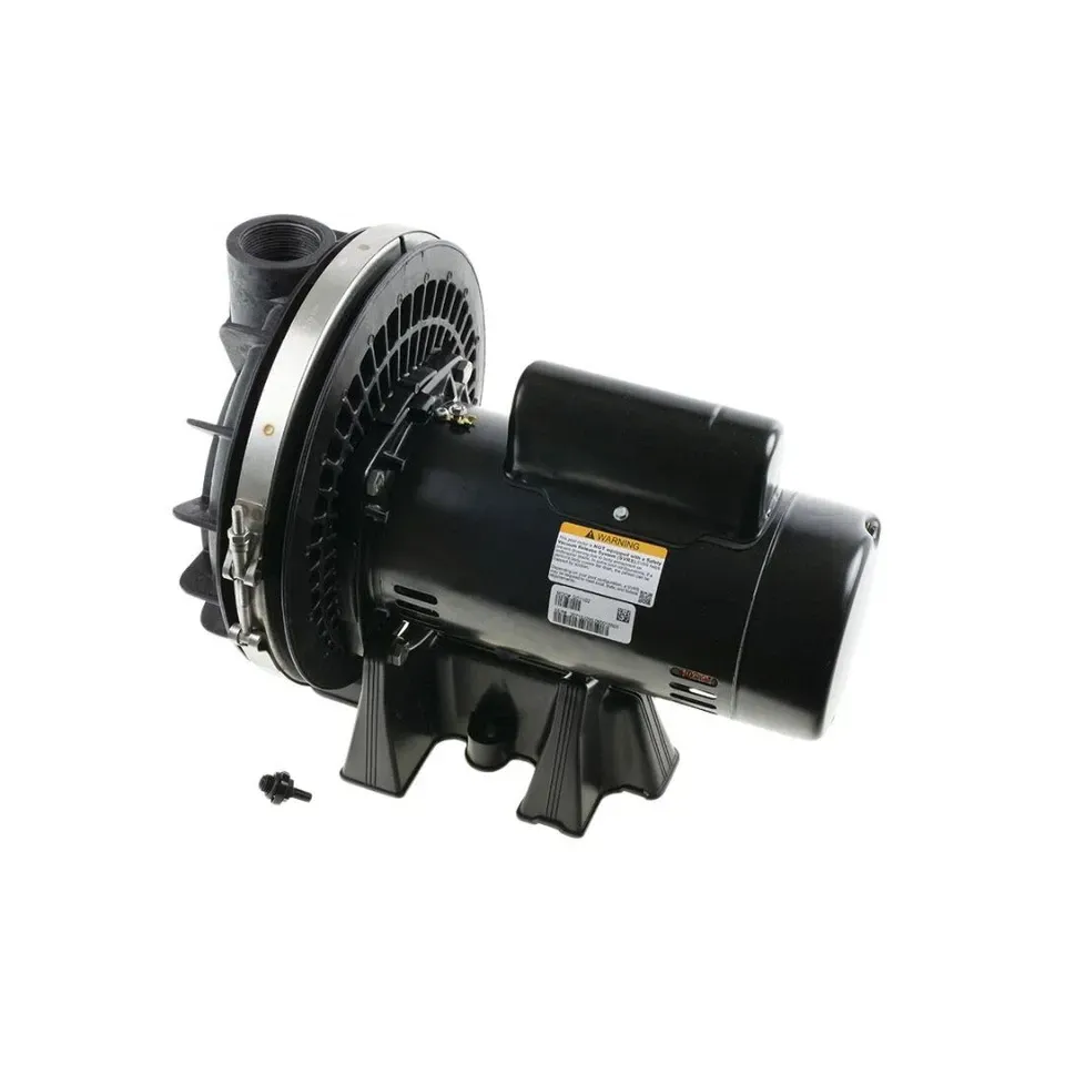 WATKINS 30215 MAX E GLASS 1HP FOR HOT SPRINGS SPAS