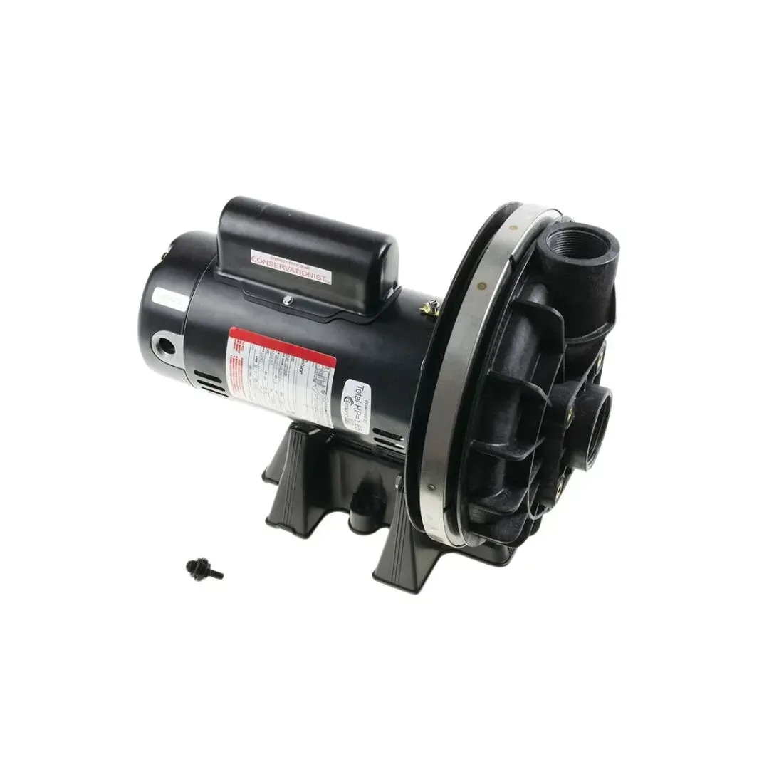 WATKINS 30215 MAX E GLASS 1HP FOR HOT SPRINGS SPAS