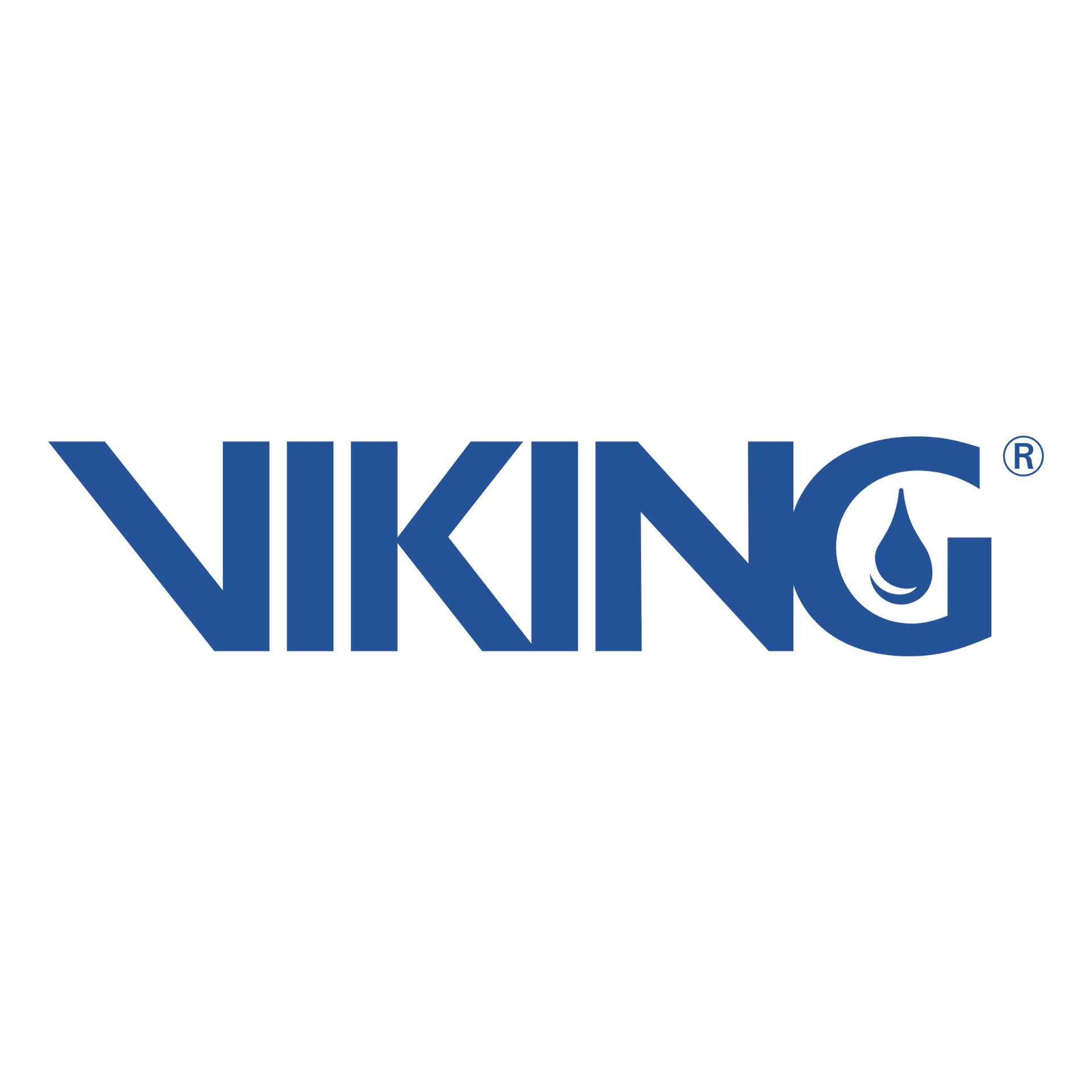 Viking logo in blue: text 
