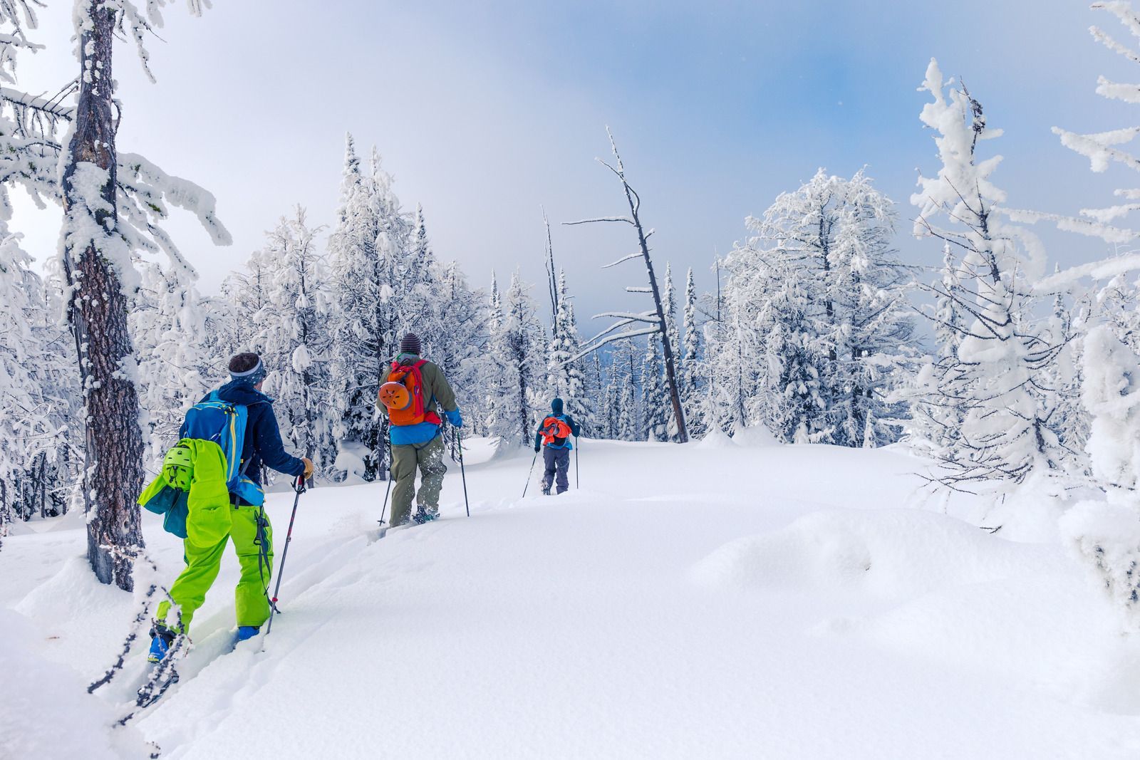 Three people backcountry skiing in a snowy forest, blue sky.