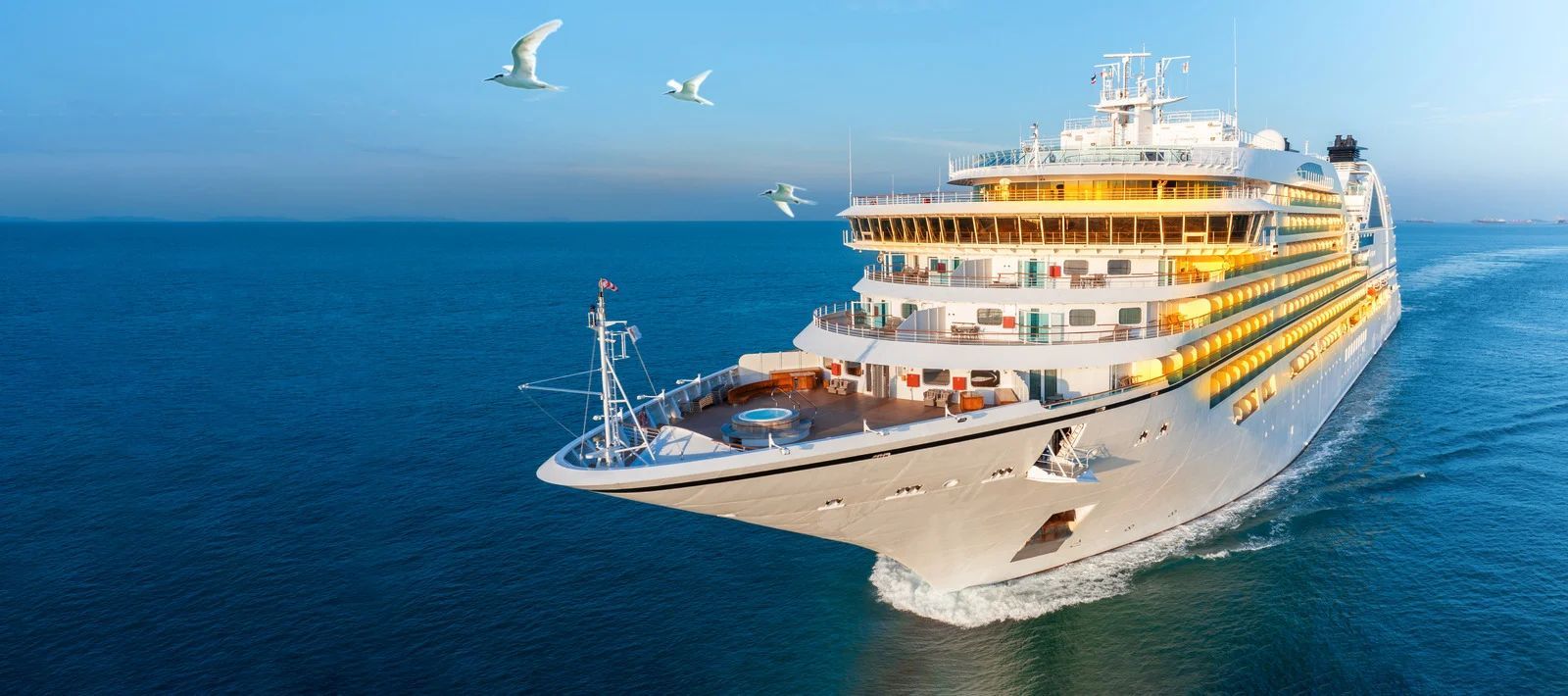 A cruise ship sailing on blue water, with a few birds flying overhead.