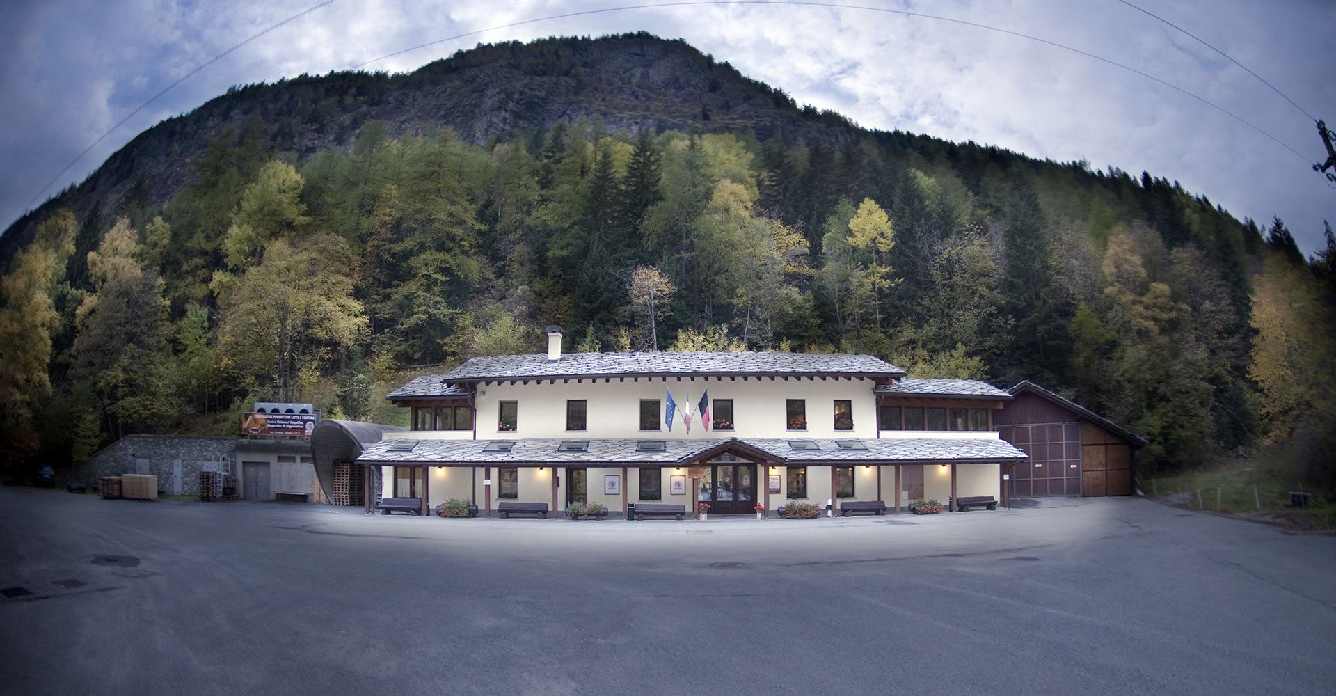 Fontina