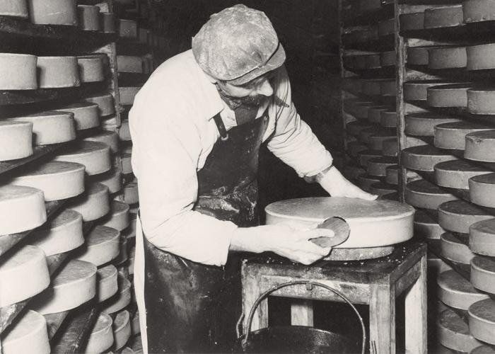 Historical Fontina cheese control photo