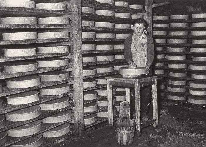 Historical Fontina photo