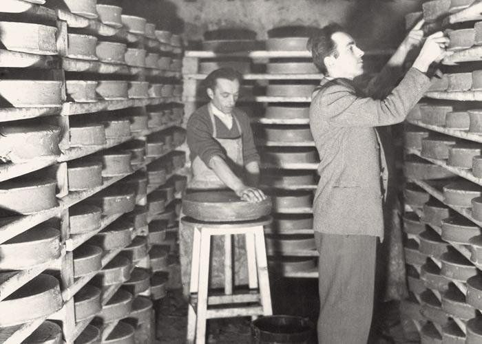 Historical Fontina cheese production photo