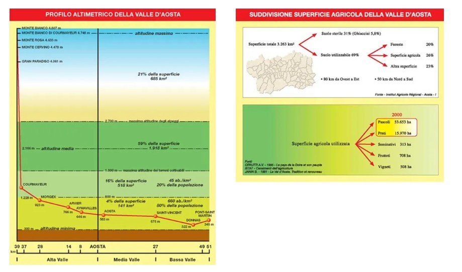 l'environnement