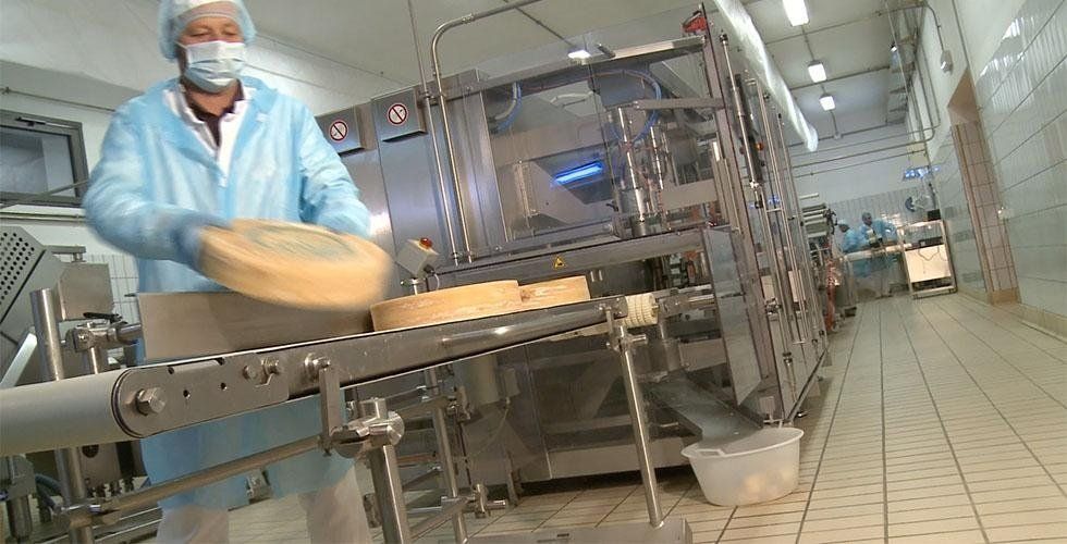 cutting and packaging warehouse