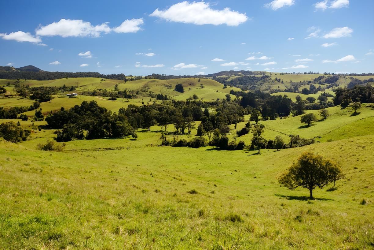 Rolling Green Hills Dotted With Trees Under a Bright Blue Sky — Dean Thomas Pools in Tablelands, QLD