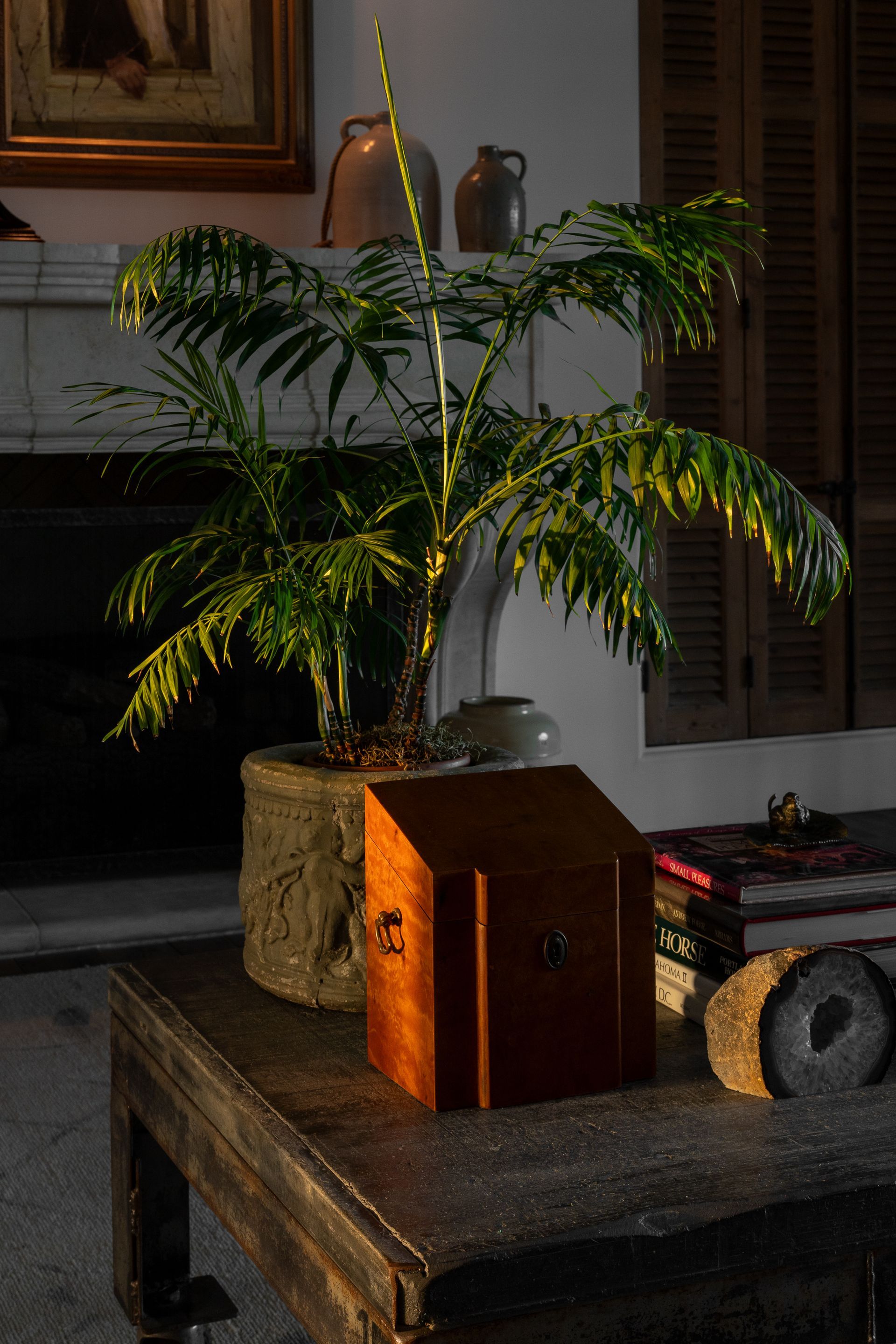 A wooden box sitting on a table next to a potted plant in a formal living room. Emily Barrows Photography. Blanco, TX.
