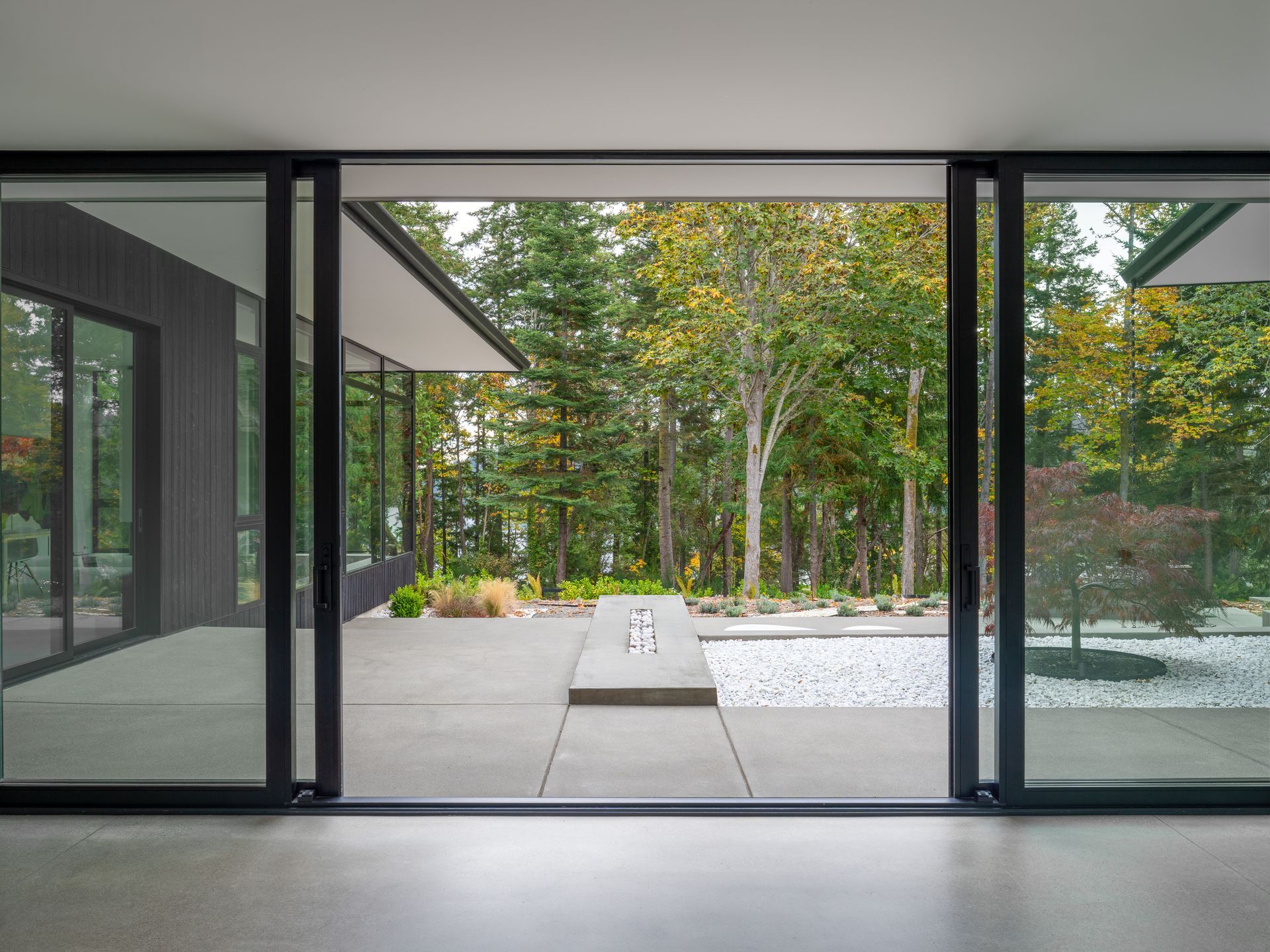 A view of a forest through a sliding glass door of a modern home.  Emily Barrows Photography. Davis Studio Architects.