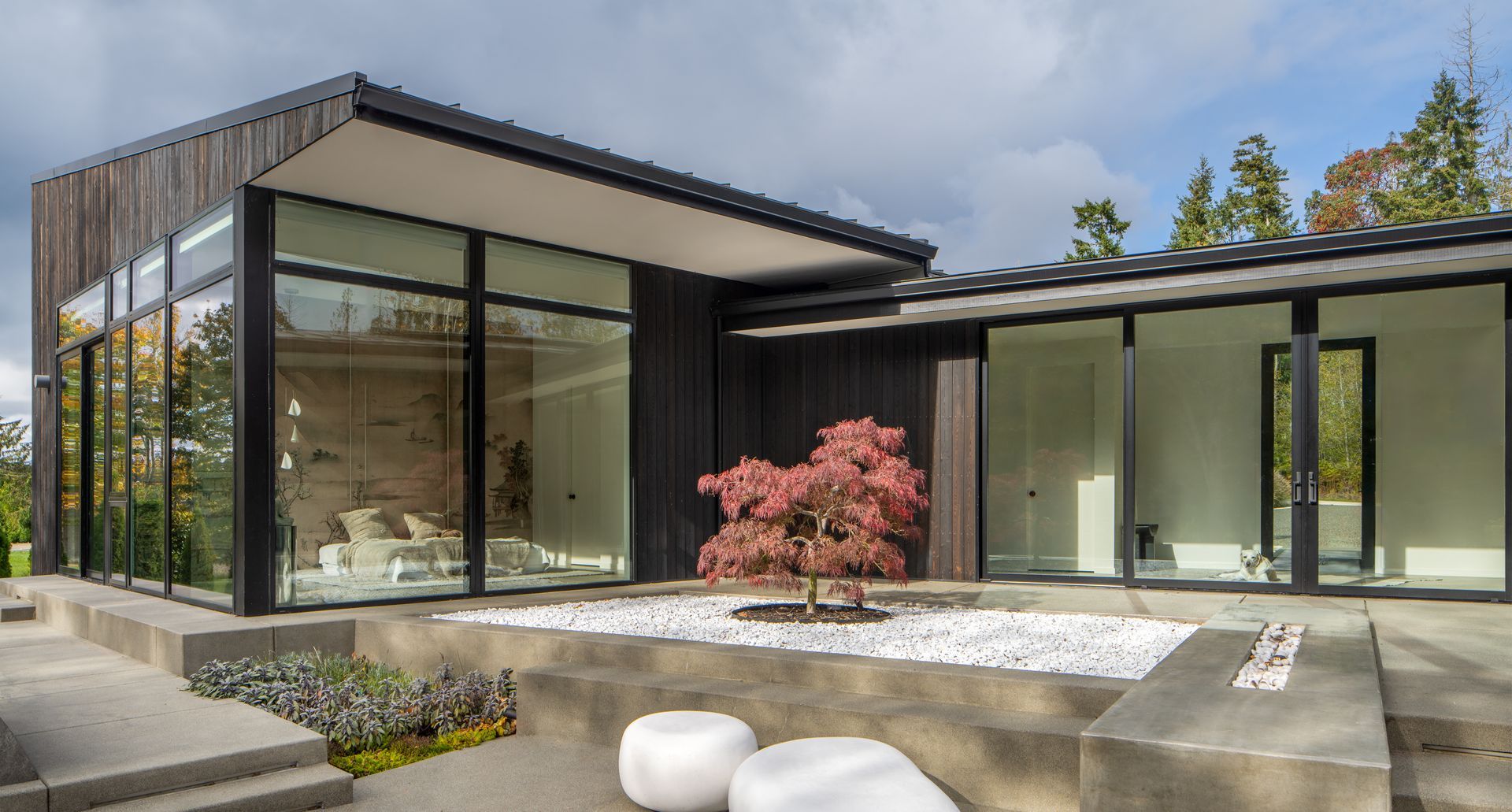 A modern house with a lot of windows and a tree in front of it. Emily Barrows Photography. Davis Studio Architects.