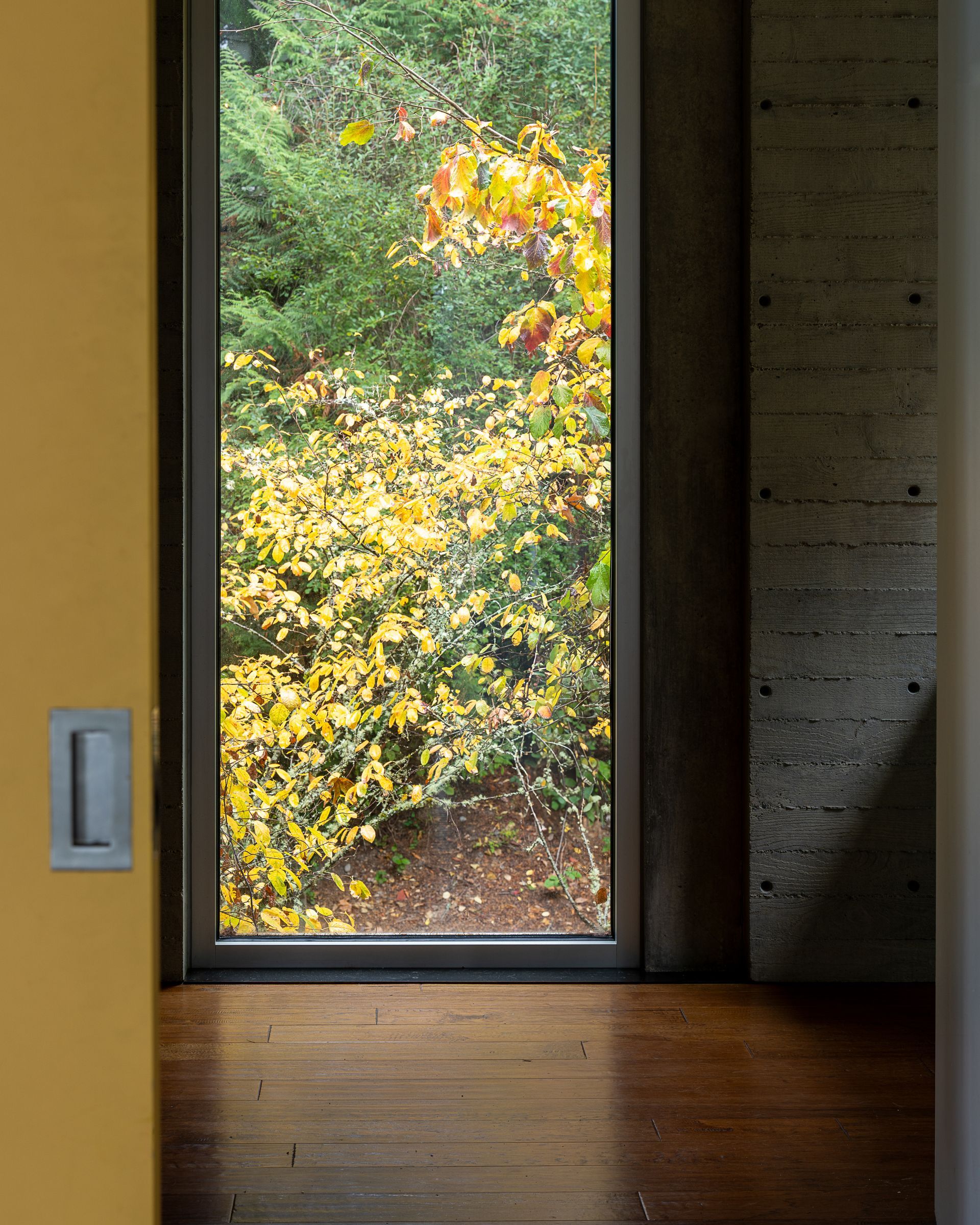 A room with a window looking out to a lush green forest.  Photography by Emily Barrows Photography. Coates Design. 
