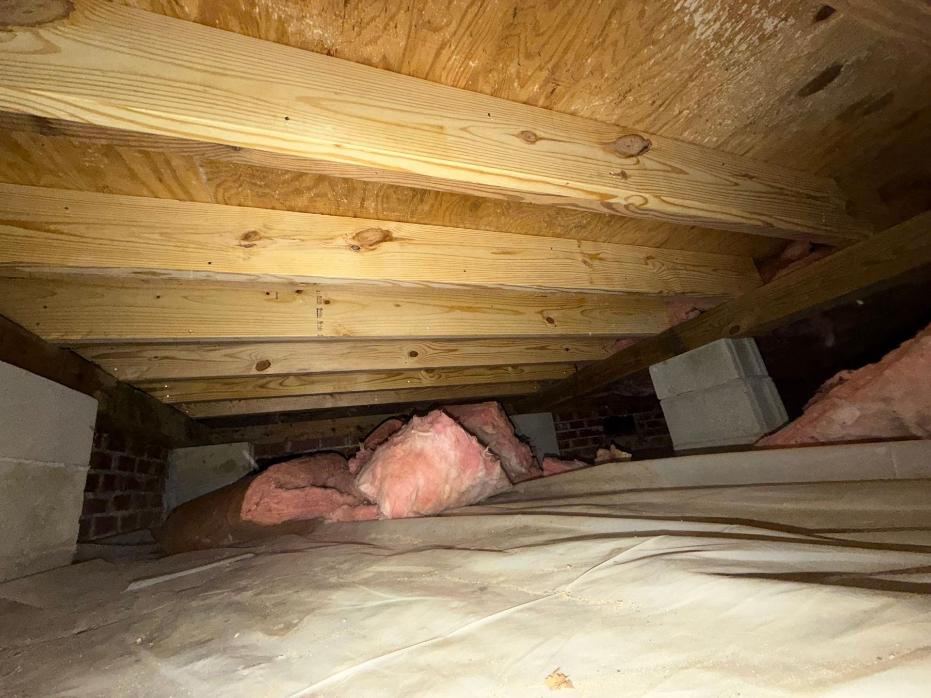 Crawl space floor joists sistered pre-cleanup in Yorktown VA - Yorkshire Downs neighborhood.