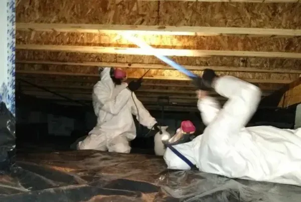 Workers in white protective suits spray mold cleaning crawl space.