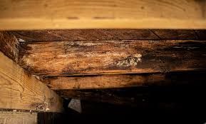 Wooden beams with apparent mold growth, likely in an attic or crawl space.