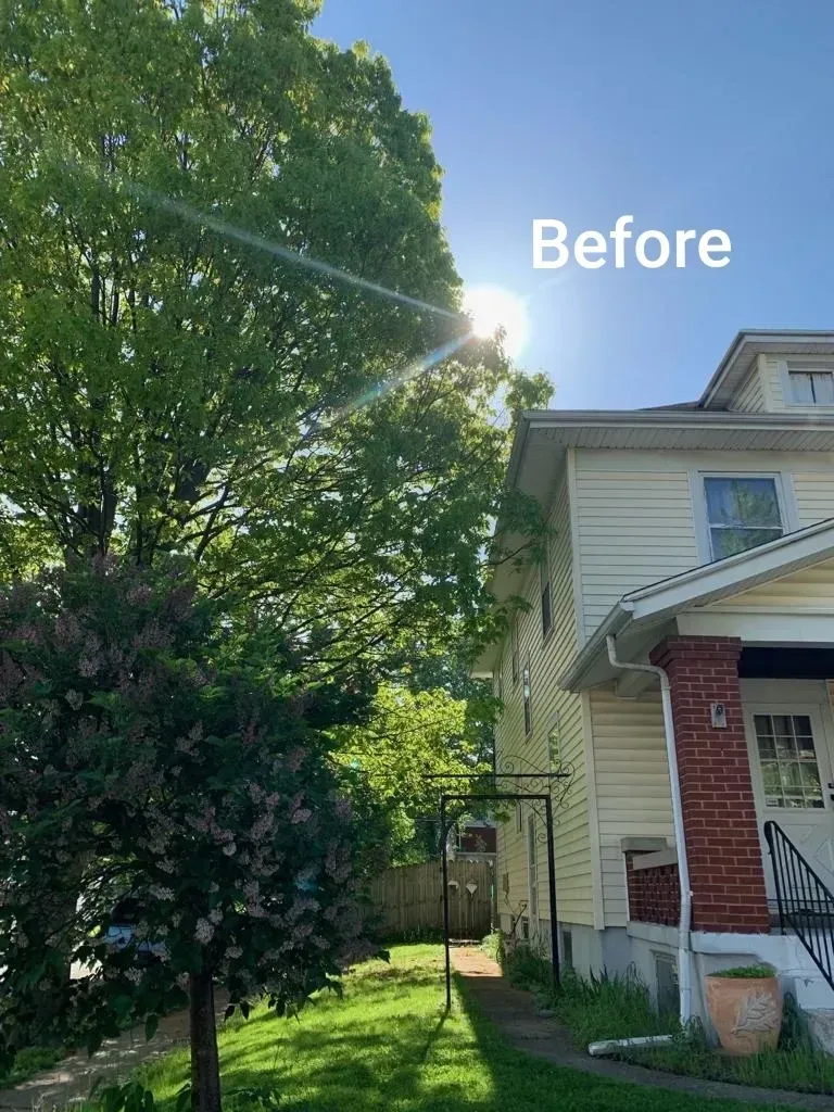 Beautiful House With Tree Beside | Miamisburg, OH | River Rock Tree Service
