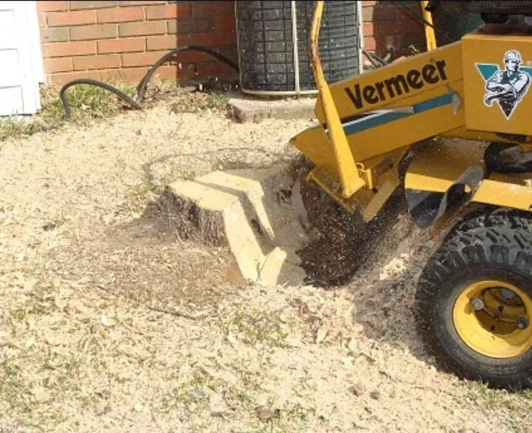 Removing A Stump With Machine | Miamisburg, OH | River Rock Tree Service